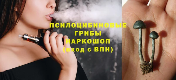 гидропоника Белокуриха