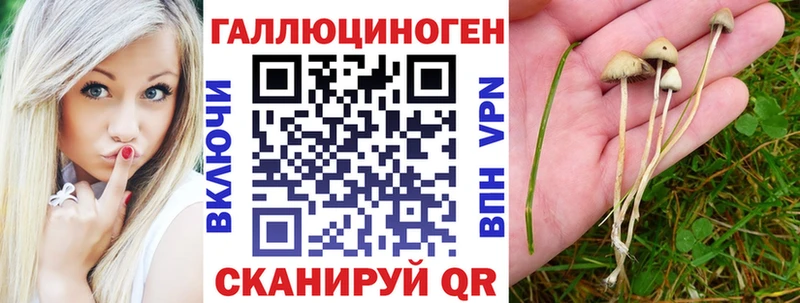 Псилоцибиновые грибы мухоморы Ершов